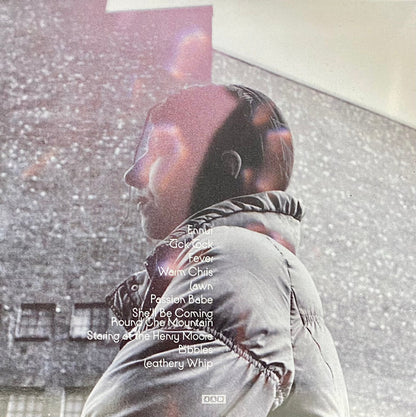 Aldous Harding : Warm Chris (LP, Album)