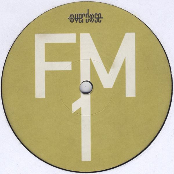 DJ Scot Project : FM (Feelin' Me) (12")