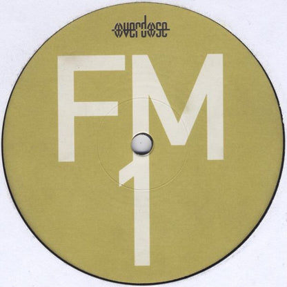 DJ Scot Project : FM (Feelin' Me) (12")