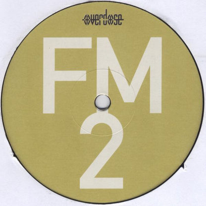 DJ Scot Project : FM (Feelin' Me) (12")