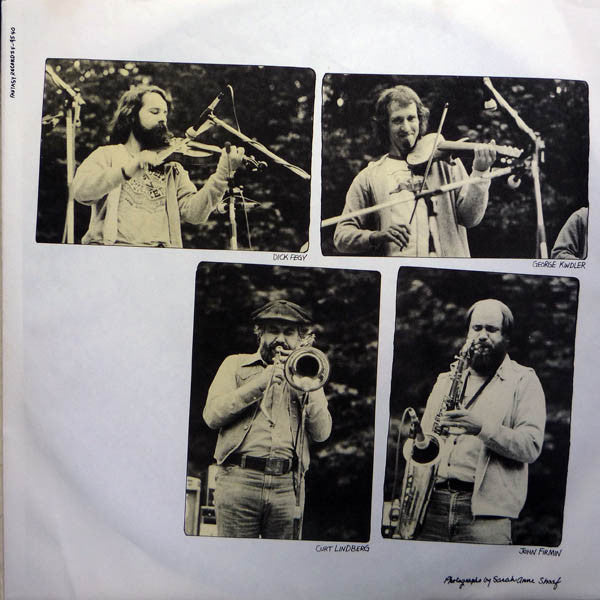 The David Bromberg Band* : Reckless Abandon (LP, Album)