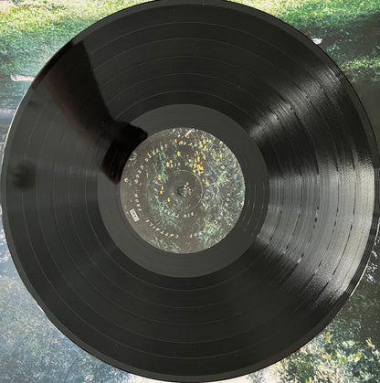 Big Thief : U.F.O.F. (LP, Album, RP)