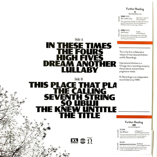 Makaya McCraven : In These Times (LP, Album)
