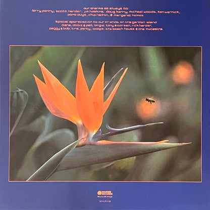America (2) : Harbor (LP, Album, Ltd, Num, RE, Yel)