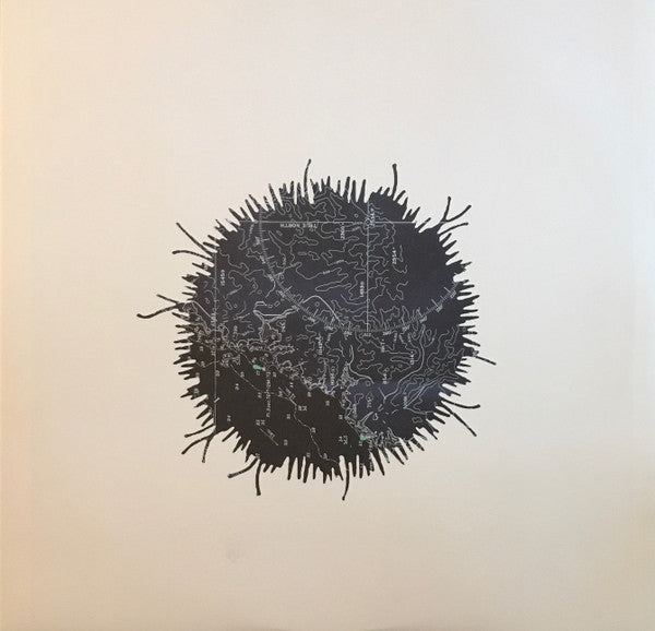 Stornoway : Beachcomber's Windowsill (LP, Album, Gat)