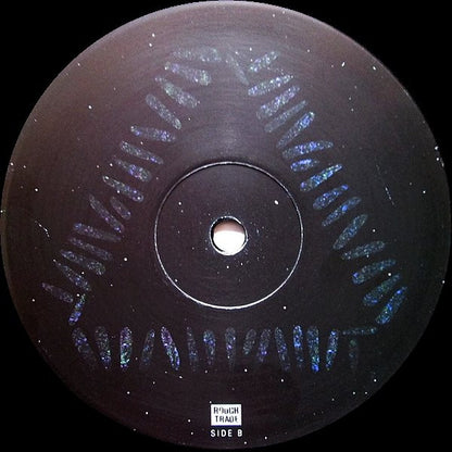 Warpaint : The Fool (2xLP, Album)