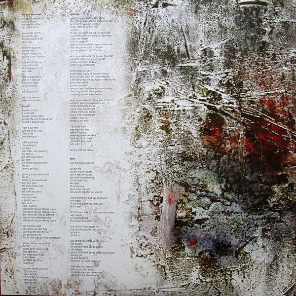 Warpaint : The Fool (2xLP, Album)