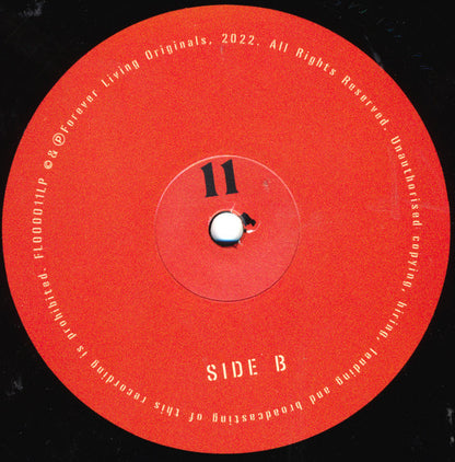 Sault : 11 (LP, Album)