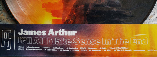 James Arthur (2) : It'll All Make Sense In The End (2xLP, Album, Pic)