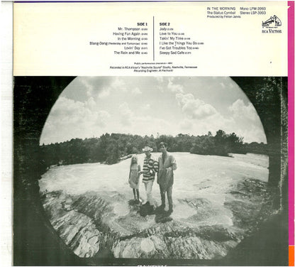 The Status Cymbal : In The Morning (LP, Album)