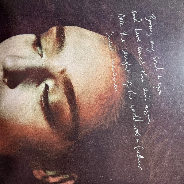 Birdy (8) : Portraits (LP, Album, Ltd, Vio)