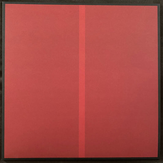 Genesis Owusu : Struggler (LP, Album, Cle)