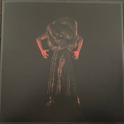 Genesis Owusu : Struggler (LP, Album, Cle)