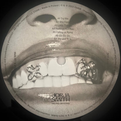 Jorja Smith : Falling Or Flying (LP, Album)