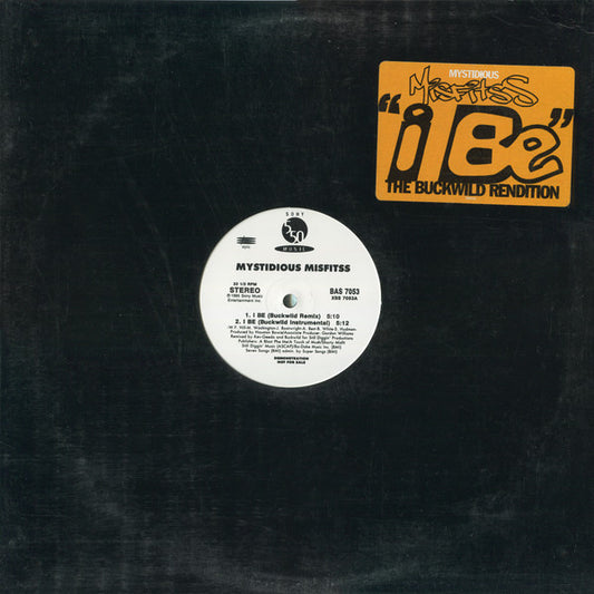 Mystidious Misfitss : I Be - The Buckwild Rendition (12", Promo)
