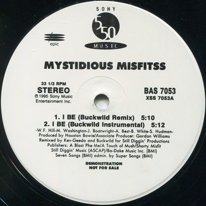 Mystidious Misfitss : I Be - The Buckwild Rendition (12", Promo)