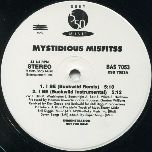 Mystidious Misfitss : I Be - The Buckwild Rendition (12", Promo)
