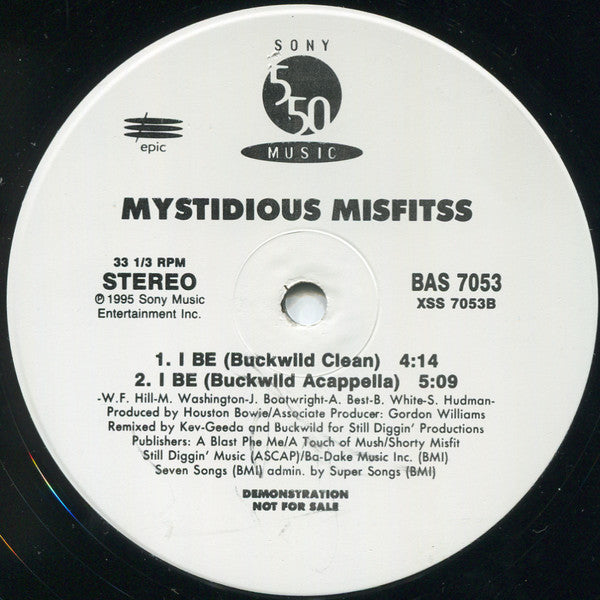 Mystidious Misfitss : I Be - The Buckwild Rendition (12", Promo)