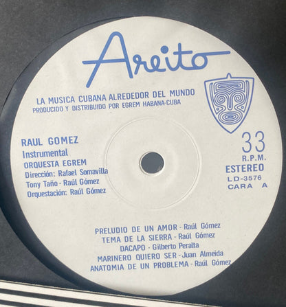 Raúl Gómez : Instrumental (LP, Album, RE)