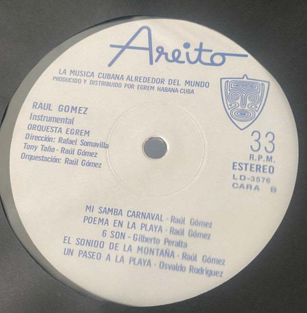 Raúl Gómez : Instrumental (LP, Album, RE)