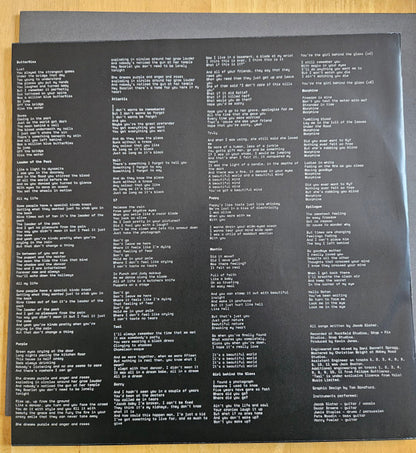 Wunderhorse : Cub (LP, Album, Bla)