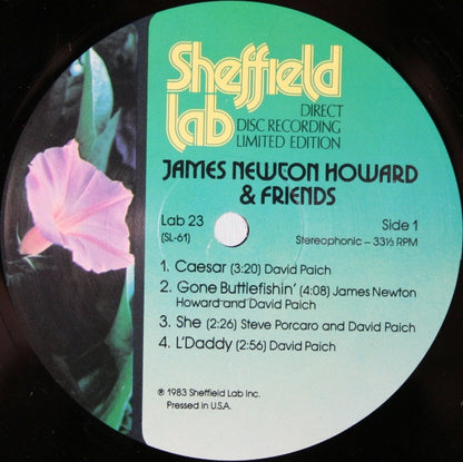 James Newton Howard & Friends : James Newton Howard & Friends (LP, Album, Ltd, Dir)