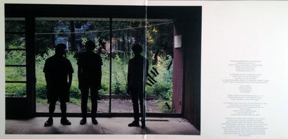 Real Estate (2) : Days (LP, Album, 180)