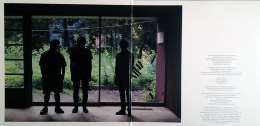 Real Estate (2) : Days (LP, Album, 180)