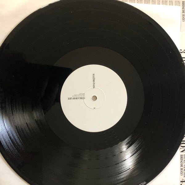 Maxïmo Park : Stream Of Life (LP, Album)