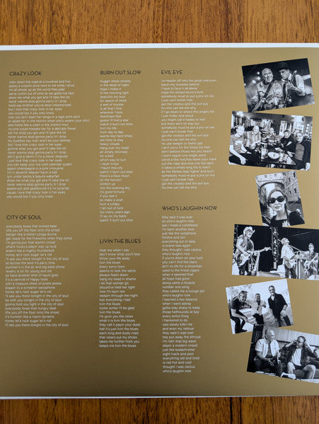 The Black Sorrows : The Way We Do Business (LP, Album)