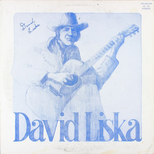 David Liska : Startin All Over Again (LP, Album)