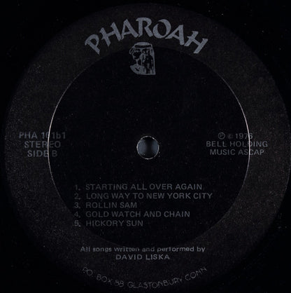 David Liska : Startin All Over Again (LP, Album)