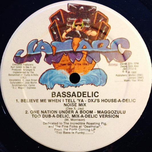 Bassadelic : One Nation Under A Boom (12")