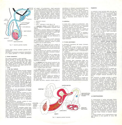 I. Terzi : L'Educazione Sessuale Vol. 1° (LP)