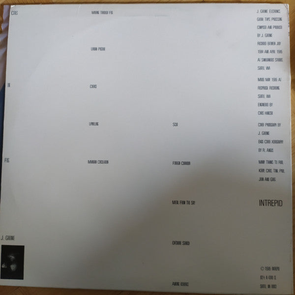 Jeff Greinke : Cities In Fog (LP, Album)