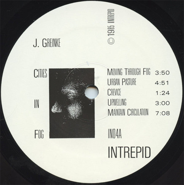 Jeff Greinke : Cities In Fog (LP, Album)