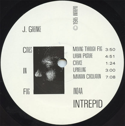 Jeff Greinke : Cities In Fog (LP, Album)