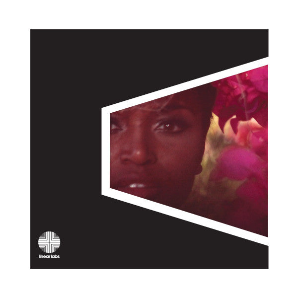 Adrian Younge Presents The Delfonics : Adrian Younge Presents The Delfonics (LP, Album, RE)