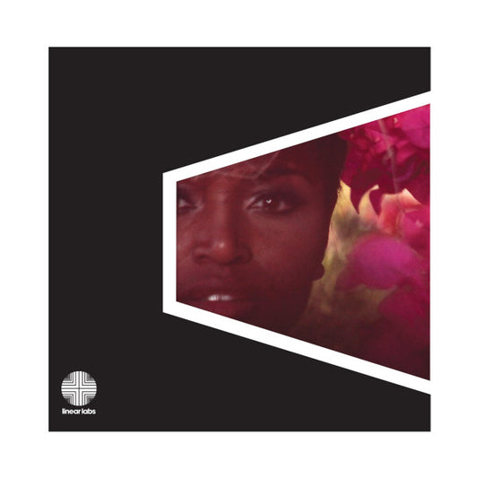 Adrian Younge Presents The Delfonics : Adrian Younge Presents The Delfonics (LP, Album, RE)