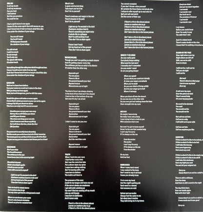 Mumford & Sons : Rushmere (LP, Album)