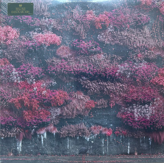 Sleep Token : Even In Arcadia (2xLP, Album, Bla)