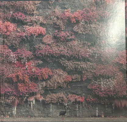 Sleep Token : Even In Arcadia (2xLP, Album, Bla)