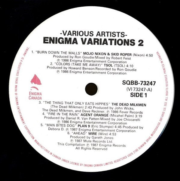 Various : The Enigma Variations 2 (2xLP, Comp, gat)