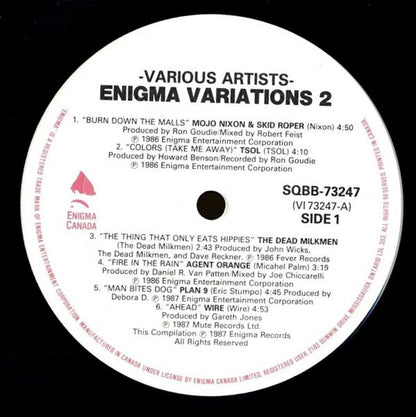 Various : The Enigma Variations 2 (2xLP, Comp, gat)