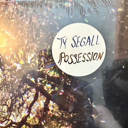 Ty Segall : Possession (LP, Album)