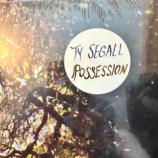 Ty Segall : Possession (LP, Album)