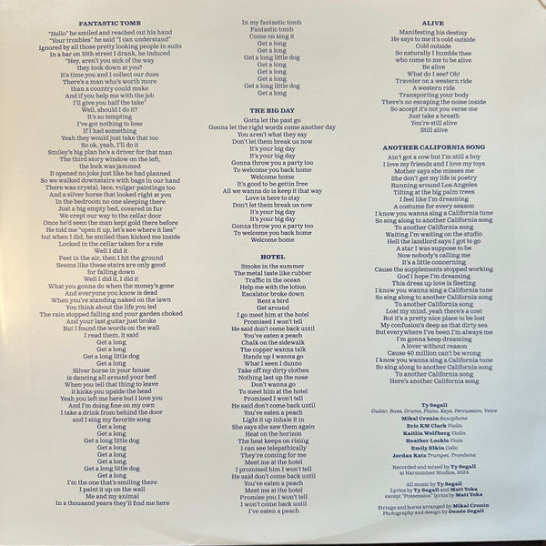Ty Segall : Possession (LP, Album)