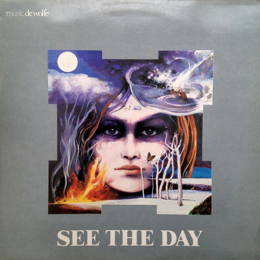 Rhythm Shop : See The Day (LP)