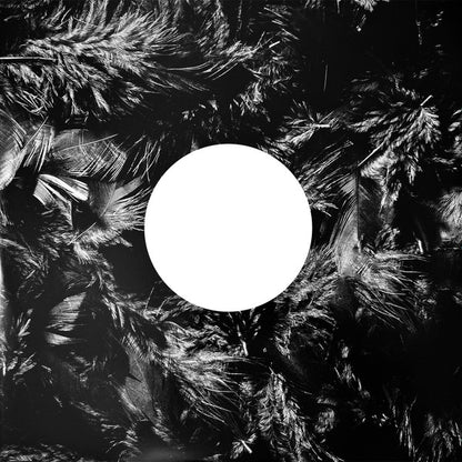 Conan Gray : Kid Krow, Decomposed (LP, Album, Whi)