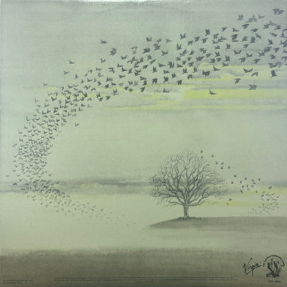 Genesis : Wind & Wuthering (LP, Album, Promo, RE)